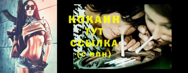гидра Балахна